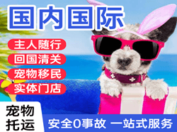 虹桥机场物流国际宠物托运 【国